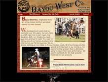 Tablet Screenshot of bayouwest.com